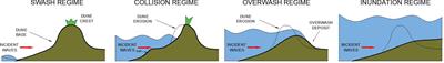 Observations of wave run-up affected by dune scarp during storm conditions: a two dimensional large-scaled movable bed experiment